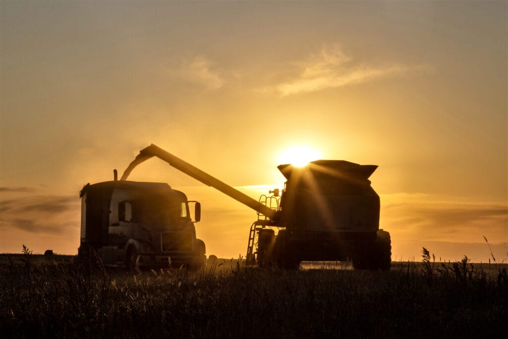 Silhouettes of a combine harvester unloading grain into a truck at sunset in a field, with the sun glowing behind them and tall grass in the foreground.